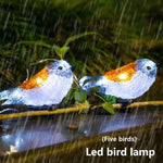 Birds String Lights Battery Powered 6 PC